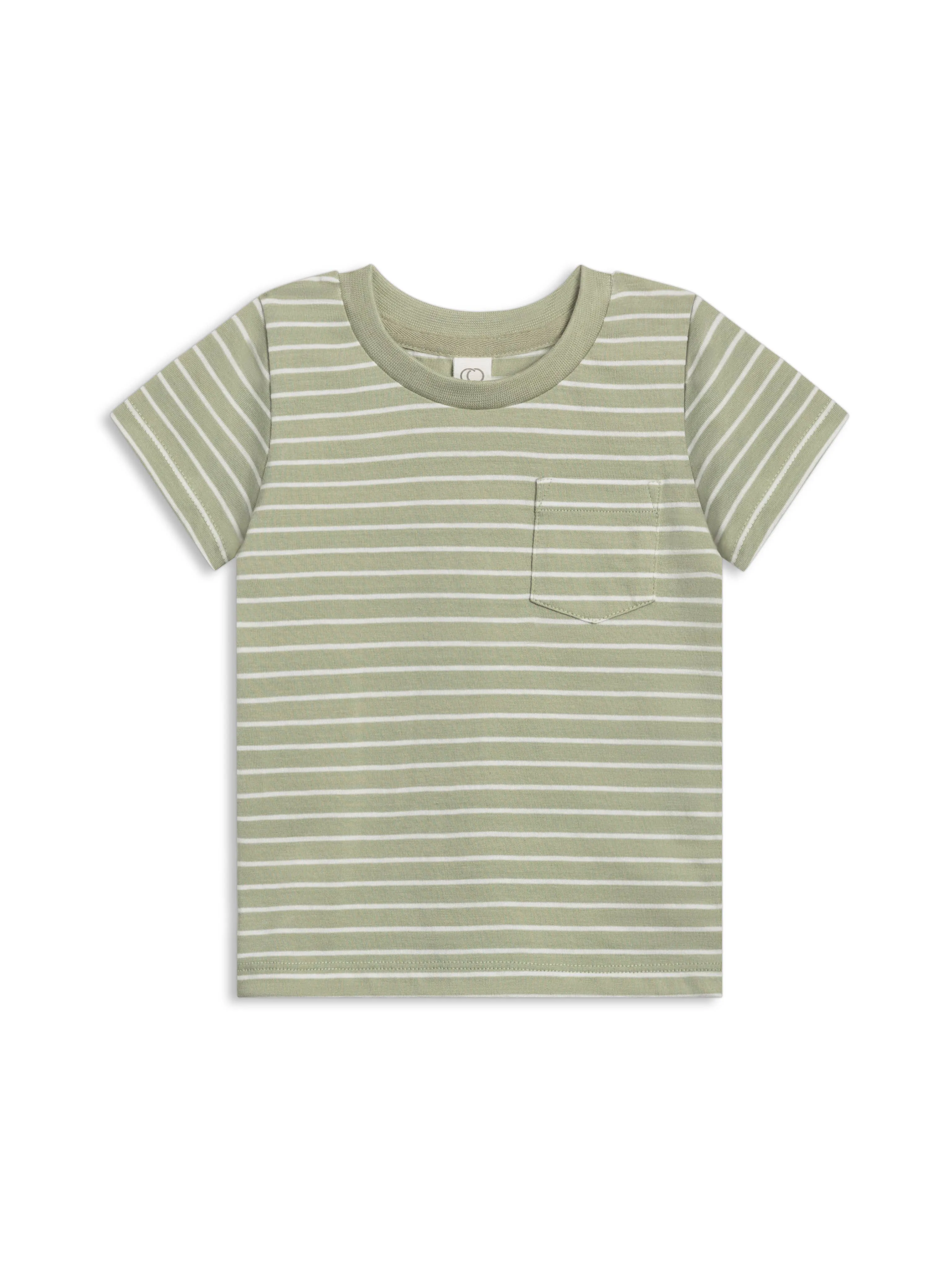 Everest Tee - Davis Stripe / Mint