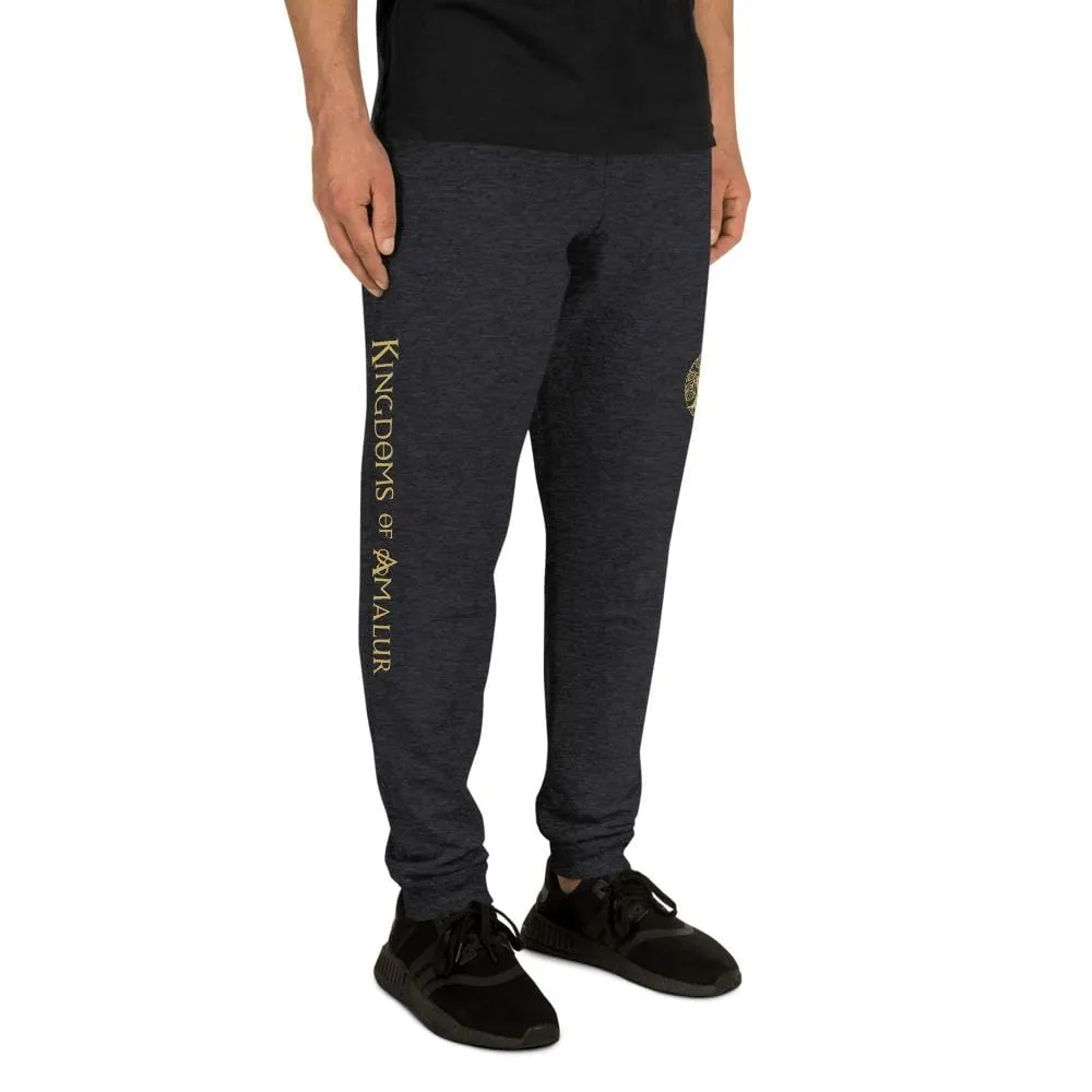 Kingdoms of Amalur Infinity A Framed Joggers