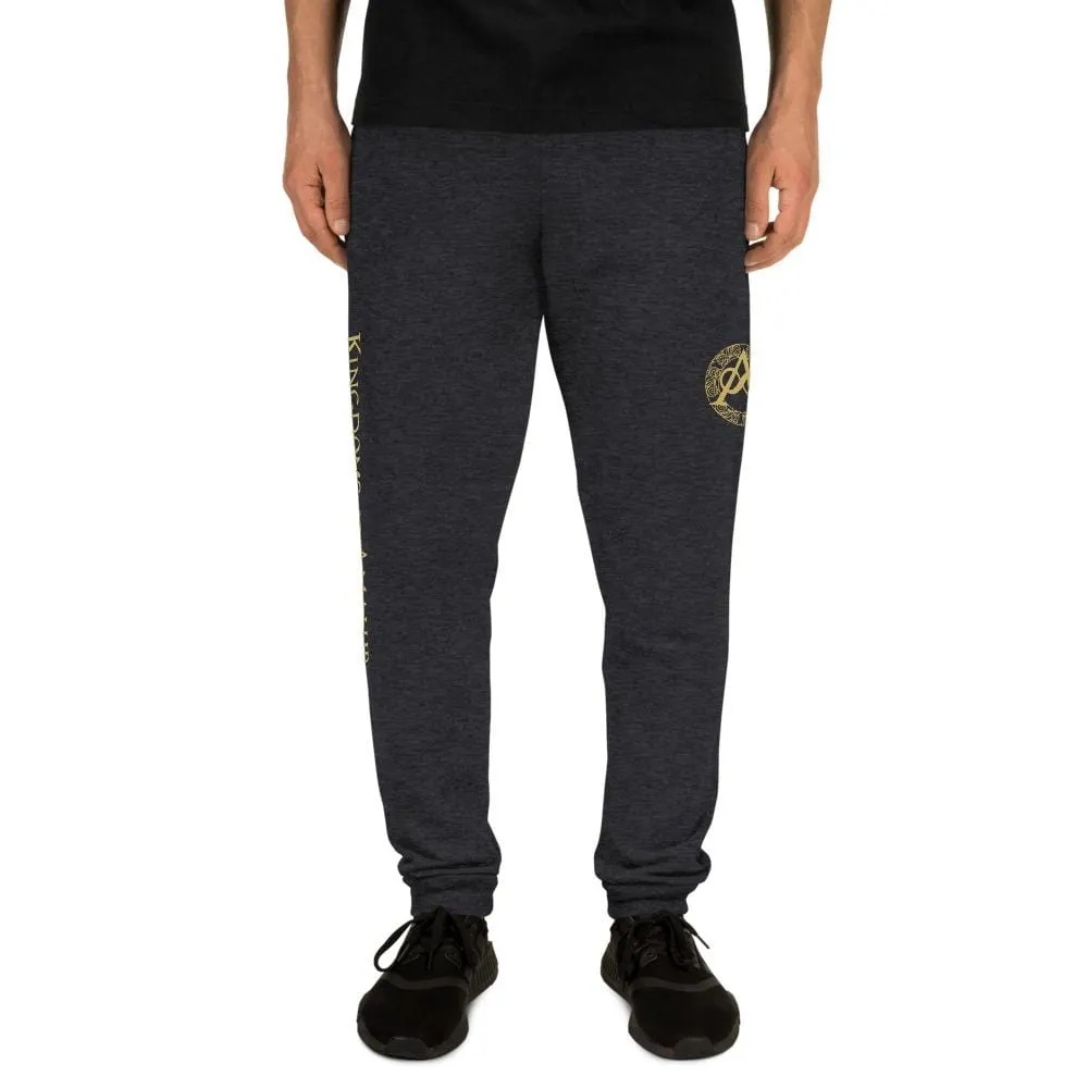Kingdoms of Amalur Infinity A Framed Joggers
