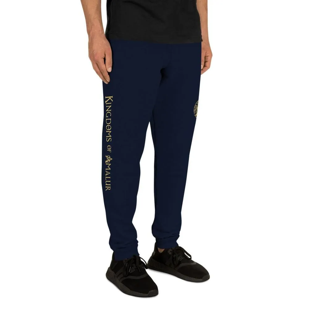 Kingdoms of Amalur Infinity A Framed Joggers