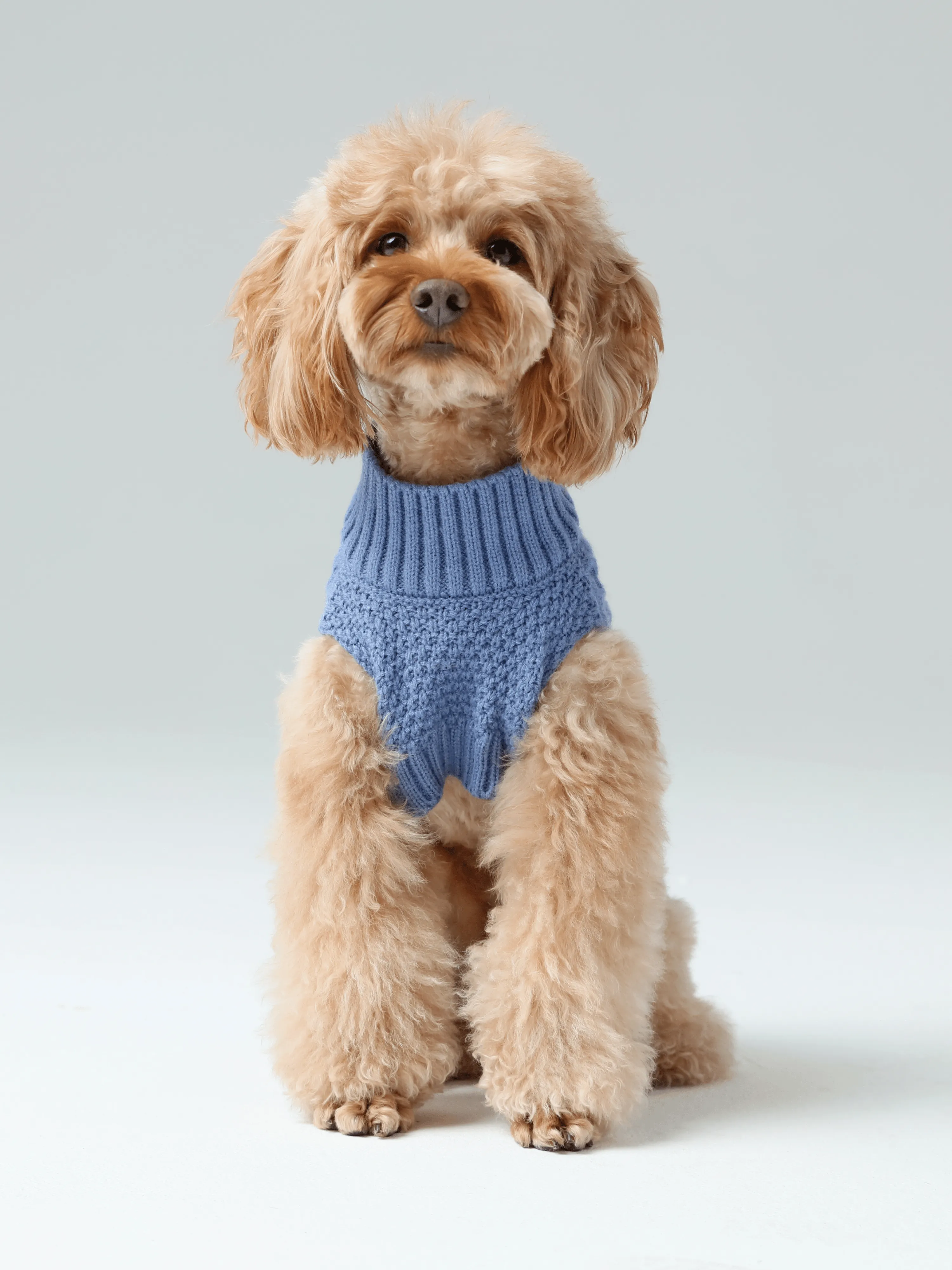 Pet Sweater Vest - Ice Blue