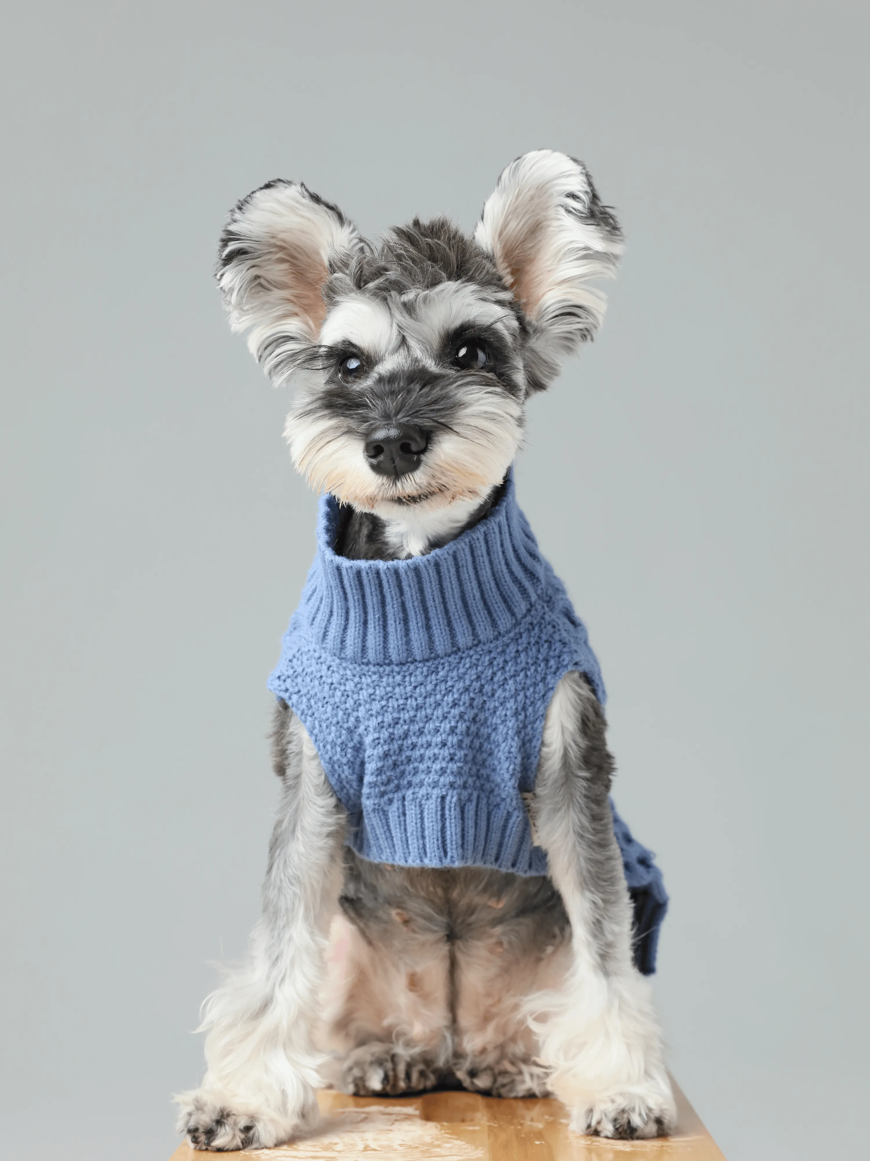 Pet Sweater Vest - Ice Blue